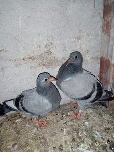 received_1149030089264737