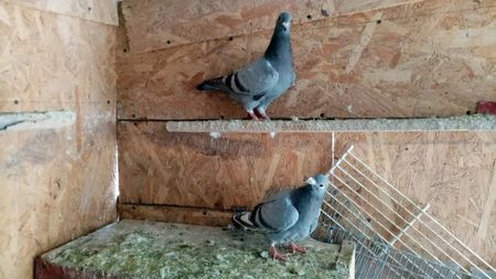 received_916296162377384