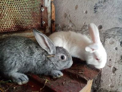 received_207557304540240