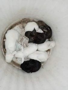 received_738295670156101