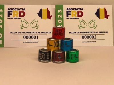 393121EE-F3B9-4030-BDF4-0E73F5DBAEAC; Inele Asociatie AFRD cu talon 2023 8 mm
