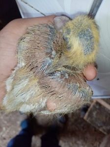 received_918816145636910