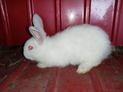 received_543391913287835