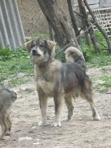 IMG-20230213-WA0089