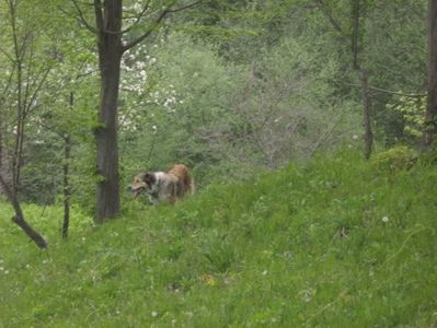 IMG-20230213-WA0075