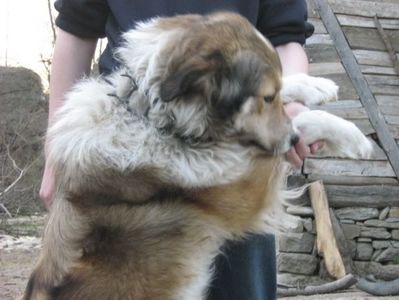 IMG-20230213-WA0073