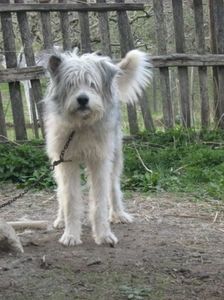 IMG-20230213-WA0067