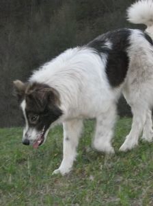 IMG-20230213-WA0060