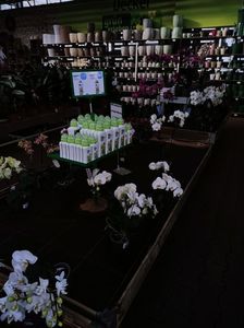 Img.202302.16