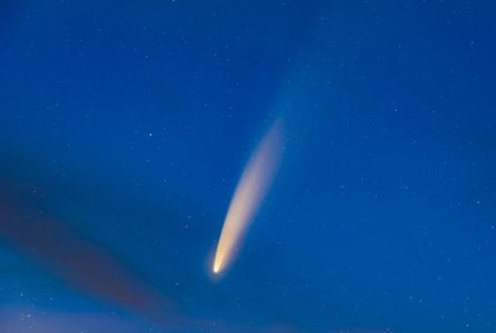 make a wish