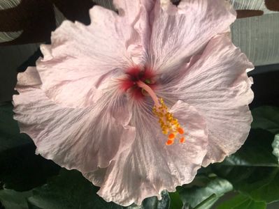 21972CA0-A91D-4C50-9FDC-451AC31A9361