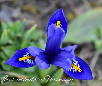 AddText_03-04-03.57.45