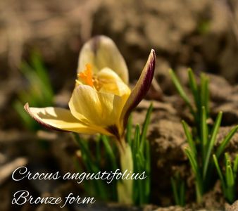 AddText_03-04-03.49.35