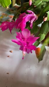 IMG-20221127-WA0003