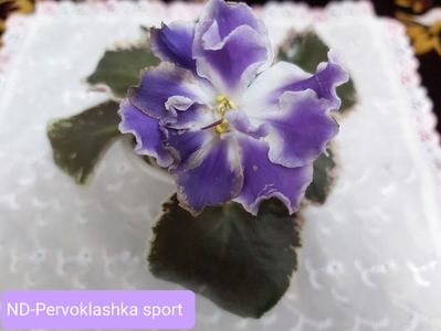 07.03.2023