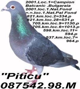 1998.087542- M PITICU.1