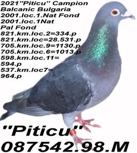 1998.087542- M PITICU.2