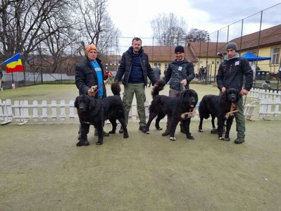 Ciobanesti corbi - expo Rau de Mori, UChR; Câștigătorii locurilor 1, 2 și 3 la rasa Corb.
