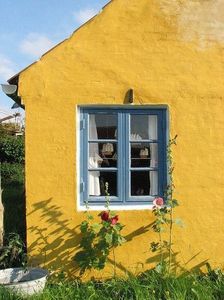 Wind and Window Flower; https://poets.org/poem/wind-and-window-flower
