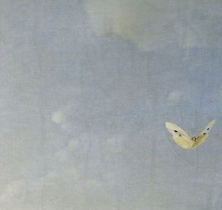 The Side Effects of Eating Too Many Clementines