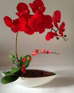 red orchid3