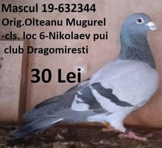 M 19-344(Cls.Nikolaev-555 km)....-30 lei