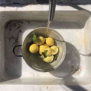 free potpourri͠͠͠͠.͠.͠.͠.͠.͠.