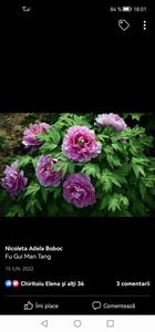 Screenshot_20230121_180131_com.facebook.katana