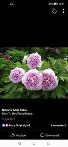 Screenshot_20230121_180119_com.facebook.katana