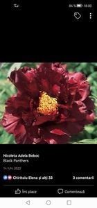 Screenshot_20230121_180053_com.facebook.katana