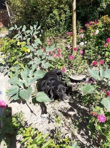 IMG-20210904-WA0004