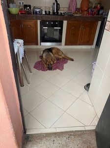 IMG-20220222-WA0002