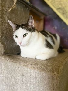 IMG-20220223-WA0008