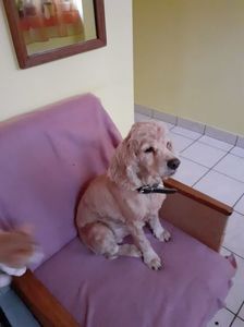 IMG-20220301-WA0013