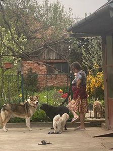 IMG-20220425-WA0003