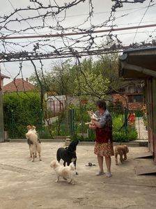 IMG-20220425-WA0008