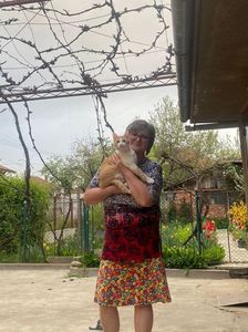IMG-20220425-WA0009