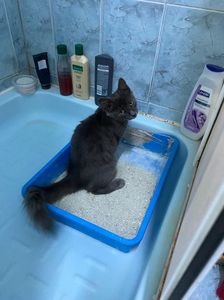 IMG-20220914-WA0014