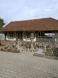 Img.2023.03.29
