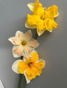 0D555DFC-7F3B-48A1-84AB-8D39F2E155C9