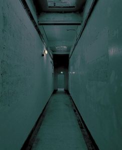 A no–ending hallway like the ones you see in those pretty bad clichéd films. Horror, specifically