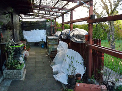 Toata saptamana cu ger, pana -5°C.; P3460787
