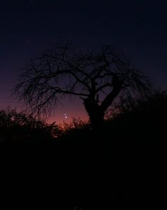 Conjunctie Jupiter-Venus in Berbec; 2 mart. 2023
foto preluata de pe net
