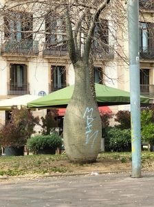 IMG20230306145114