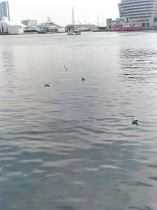 IMG20230306141522