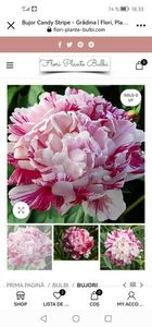 Screenshot_20230403_183324_com.facebook.katana