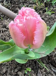 99BB354B-F695-4702-BD71-79ECFB5C4FF4