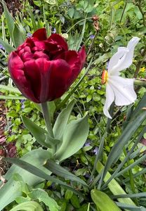 D25696B6-534C-4BAB-A7E9-4BC4DEA719F8
