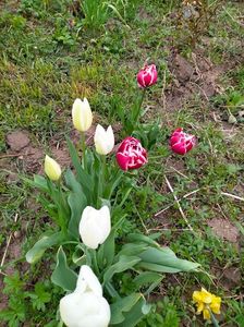 IMG20230407161517
