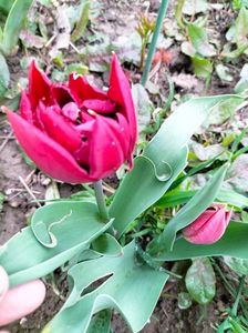 IMG20230407161424